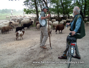 Encounter with a Shepherd